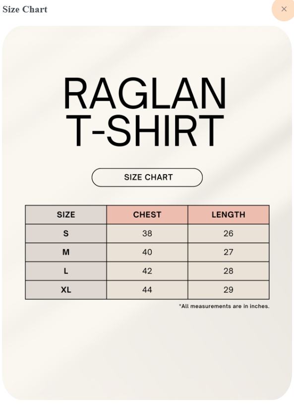 Men's Raglan T-Shirt